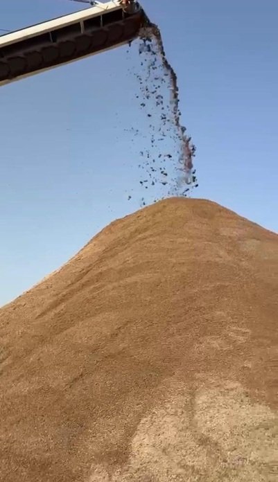 Premium Concrete & Construction Sand (Zone II)