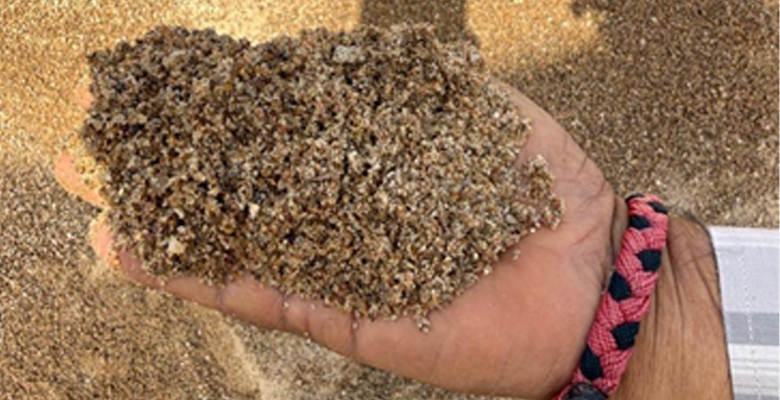 Concrete & Construction Sand (Zone II)
